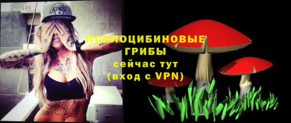 a pvp Алексеевка
