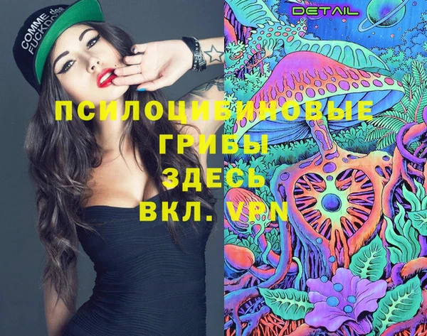 ешки Алзамай
