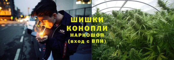 ешки Алзамай