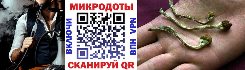 наркота  Орехово-Зуево  Галлюциногенные грибы прущие грибы 
